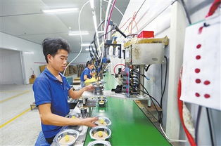 有為，有位——定南縣電子信息首位產業發展見聞